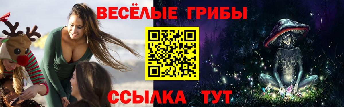 Кировск  Галлюциногенные грибы Cubensis  Псилоцибиновые грибы мухоморы  Вход с VPN 